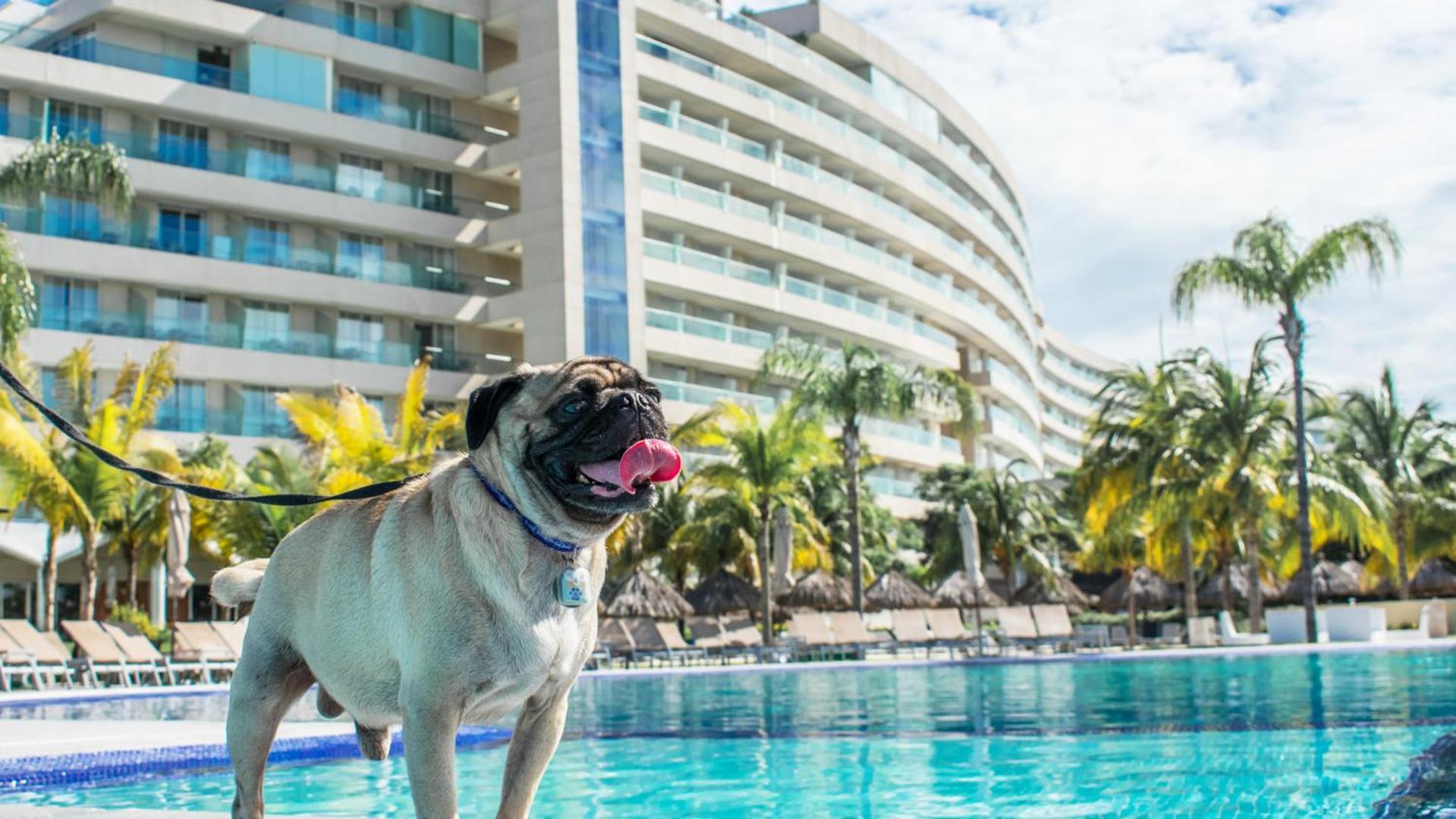 Palacio Mundo Imperial Riviera Diamante Acapulco Exterior photo Millyard at the Hard Rock Hotel in Cancun